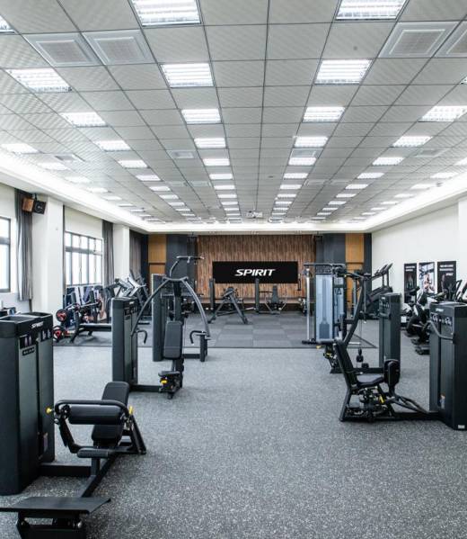 WhatsApp Image 2026-03-20 at 16.18.21